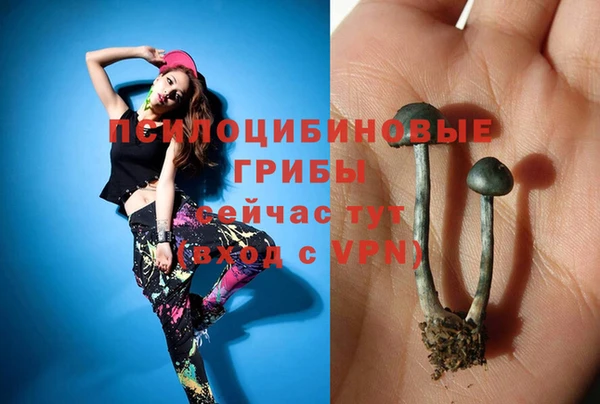 героин Алзамай